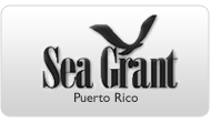sea grant